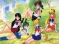 /album/photogallery/sailor-scout-groups-3-jpg/